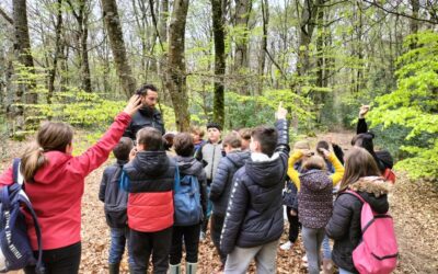 sortie forêt de la Hunaudaye