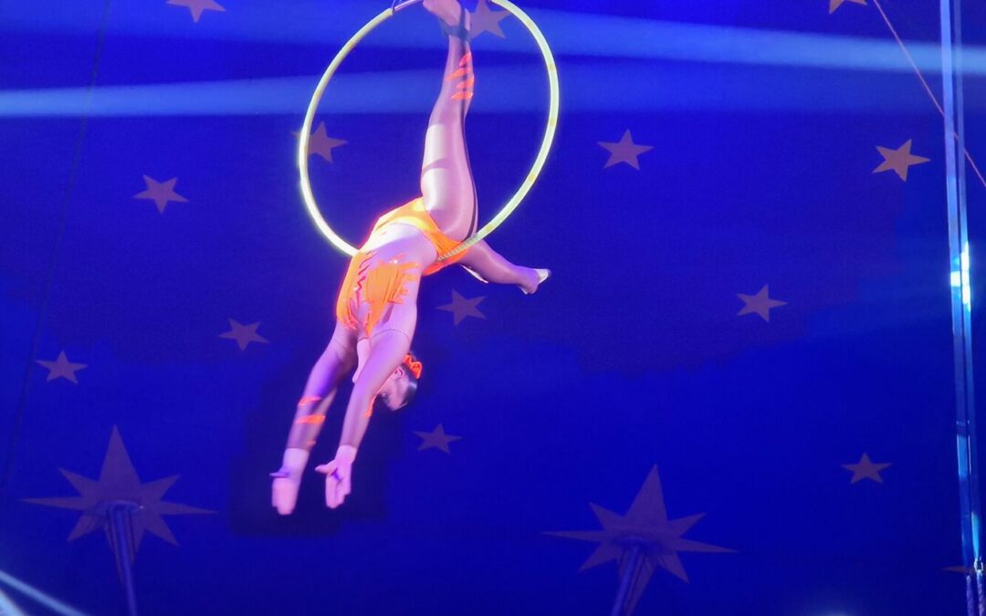 Cirque – seconde représentation